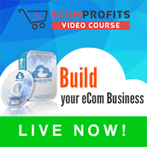 learn how to use eCommerce to expand your business by selling products or services online
