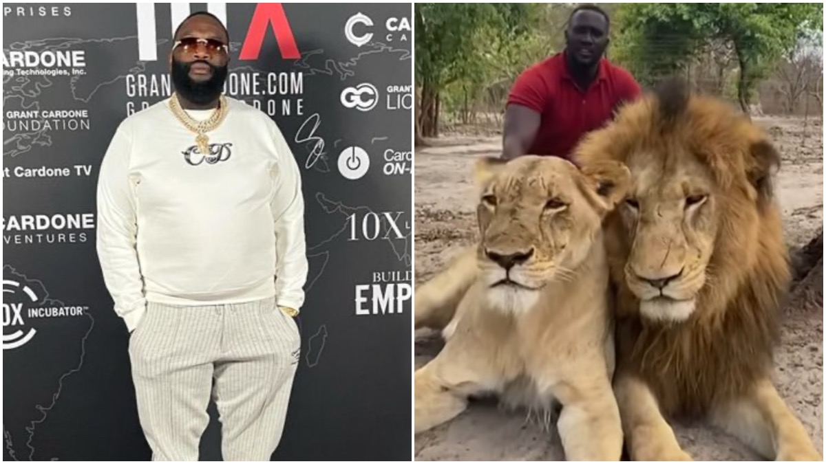 Rick Ross Shows Off ‘Pet Cats’ Coming to His Promise Land Zoo 