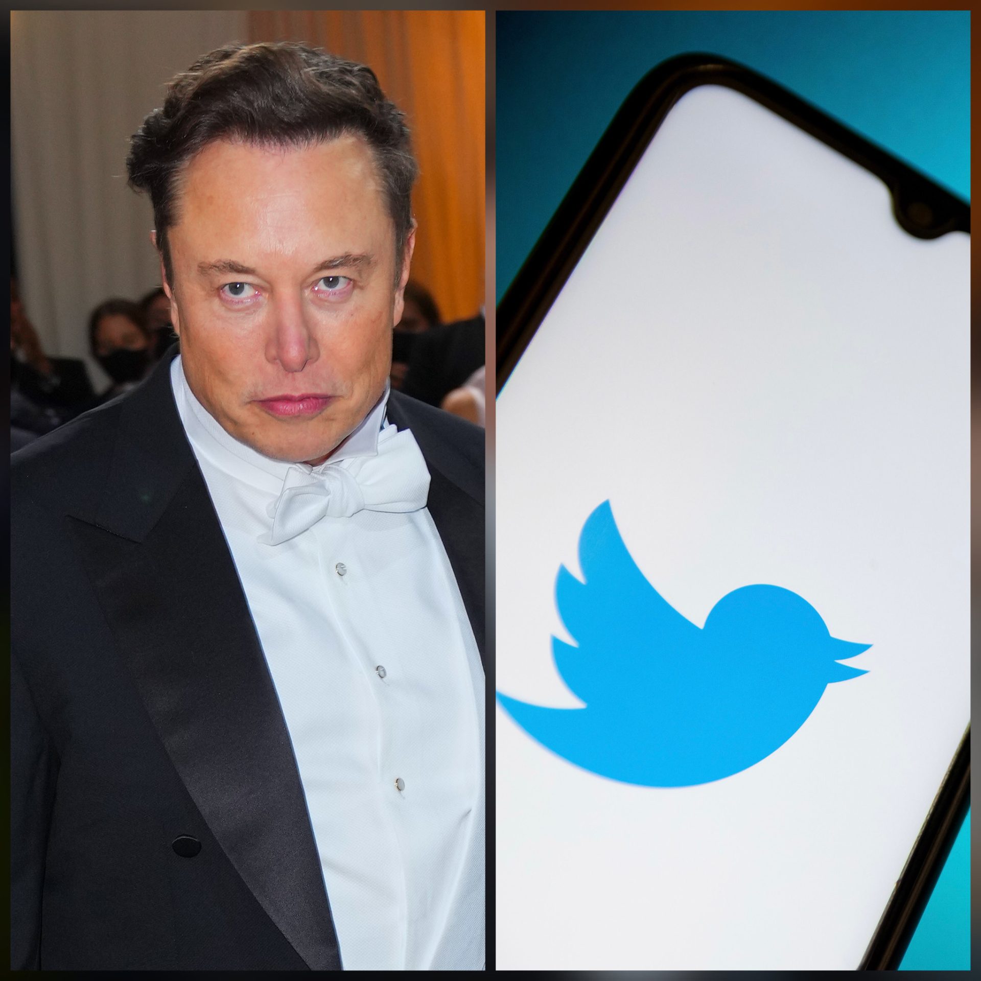 Judge Rules That Twitter’s Lawsuit Against Elon Musk Can Proceed With Five-Day Trial Beginning In October