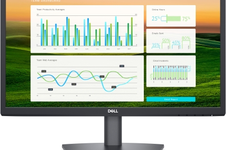Dell slashed the price of this 22-inch monitor to only $150