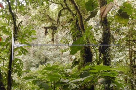 Listening to Amazon rainforest to understand deforestation