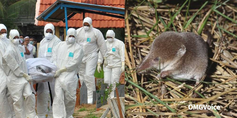 China Warns The World As New Virus Spread From Shrew To Humans