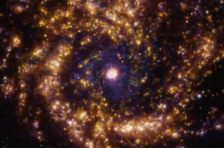 See elements as colors in galaxy where stars are being born