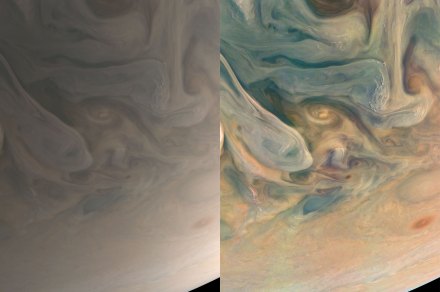 Citizen scientist shares stunning image of Jupiter