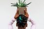 Why We Love Aloe Vera! – Afrocenchix