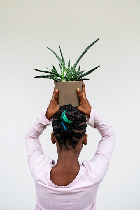 Why We Love Aloe Vera! – Afrocenchix